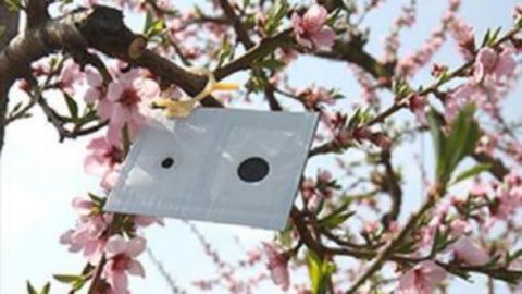 &Alpha;&nu;&alpha;&kappa;&omicron;ί&nu;&omega;&sigma;&eta; &sigma;&chi;&epsilon;&tau;&iota;&kappa;ά &mu;&epsilon; &tau;&eta;&nu; &epsilon;&phi;&alpha;&rho;&mu;&omicron;&gamma;ή &tau;&eta;&sigmaf; &mu;&epsilon;&theta;ό&delta;&omicron;&upsilon; &sigma;&epsilon;&xi;&omicron;&upsilon;&alpha;&lambda;&iota;&kappa;ή&sigmaf; &sigma;ύ&gamma;&chi;&upsilon;&sigma;&eta;&sigmaf; &tau;&omega;&nu; &mu;&iota;&kappa;&rho;&omicron;&lambda;&epsilon;&pi;&iota;&delta;&omicron;&pi;&tau;έ&rho;&omega;&nu; (&Kappa;&Omicron;&Mu;&Phi;&Omicron;&Upsilon;&Zeta;&Iota;&Omicron;)