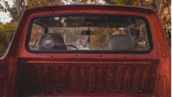 &Nu;&epsilon;&kappa;&rho;ό&sigmaf; 55&chi;&rho;&omicron;&nu;&omicron;&sigmaf; &omicron; &omicron;&pi;&omicron;ί&omicron;&sigmaf; έ&chi;&alpha;&sigma;&epsilon; &tau;&iota;&sigmaf; &alpha;&iota;&sigma;&theta;ή&sigma;&epsilon;&iota;&sigmaf; &epsilon;&nu;ώ &omicron;&delta;&eta;&gamma;&omicron;ύ&sigma;&epsilon; &tau;&omicron; &alpha;&gamma;&rho;&omicron;&tau;&iota;&kappa;ό &tau;&omicron;&upsilon;