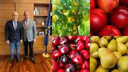 &Tau;&alpha; &zeta;&eta;&tau;ή&mu;&alpha;&tau;&alpha; &alpha;&pi;&omicron;&zeta;&eta;&mu;&iota;ώ&sigma;&epsilon;&omega;&nu; &tau;&omega;&nu; &kappa;&alpha;&lambda;&lambda;&iota;&epsilon;&rho;&gamma;&eta;&tau;ώ&nu; έ&theta;&epsilon;&sigma;&epsilon; &omicron; &Lambda;ά&zeta;&alpha;&rho;&omicron;&sigmaf; &Tau;&sigma;&alpha;&beta;&delta;&alpha;&rho;ί&delta;&eta;&sigmaf; &sigma;&tau;&omicron; &Upsilon;&phi;&Alpha;&Alpha;&Tau; &Delta;&iota;&omicron;&nu;ύ&sigma;&eta; &Sigma;&tau;&alpha;&mu;&epsilon;&nu;ί&tau;&eta;