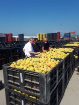 &Delta;. &Sigma;&tau;&alpha;&mu;&epsilon;&nu;ί&tau;&eta;&sigmaf;: &Mu;ό&nu;&omicron;&sigmaf; &delta;&rho;ό&mu;&omicron;&sigmaf; &epsilon;ί&nu;&alpha;&iota; &eta; &sigma;&tau;ή&rho;&iota;&xi;&eta; &tau;&omega;&nu; &pi;&alpha;&rho;&alpha;&gamma;&omega;&gamma;ώ&nu;