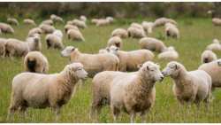 &Alpha;&nu;&alpha;&kappa;&omicron;ί&nu;&omega;&sigma;&eta; &sigma;&chi;&epsilon;&tau;&iota;&kappa;ά &mu;&epsilon; &tau;&eta;&nu; &Delta;&rho;ά&sigma;&eta; 10.1.09 &laquo;&Delta;&iota;&alpha;&tau;ή&rho;&eta;&sigma;&eta; &alpha;&pi;&epsilon;&iota;&lambda;&omicron;ύ&mu;&epsilon;&nu;&omega;&nu; &alpha;&upsilon;&tau;ό&chi;&theta;&omicron;&nu;&omega;&nu; &phi;&upsilon;&lambda;ώ&nu; &alpha;&gamma;&rho;&omicron;&tau;&iota;&kappa;ώ&nu; &zeta;ώ&omega;&nu;&raquo; &tau;&omicron;&upsilon; &Mu;έ&tau;&rho;&omicron;&upsilon; 10 &laquo;&Gamma;&epsilon;&omega;&rho;&gamma;&omicron;&pi;&epsilon;&rho;&iota;&beta;&alpha;&lambda;&lambda;&omicron;&nu;&tau;&iota;&kappa;ά &kappa;&alpha;&iota; &kappa;&lambda;&iota;&mu;&alpha;&tau;&iota;&kappa;ά &mu;έ&tau;&rho;&alpha;&raquo;