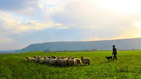 &Sigma;&upsilon;&mu;&pi;&alpha;&rho;ά&sigma;&tau;&alpha;&sigma;&eta; &tau;&eta;&sigmaf; &Epsilon;&nu;&omega;&tau;&iota;&kappa;ή&sigmaf; &Omicron;&mu;&omicron;&sigma;&pi;&omicron;&nu;&delta;ί&alpha;&sigmaf; &Alpha;&gamma;&rho;&omicron;&tau;&iota;&kappa;ώ&nu; &Sigma;&upsilon;&lambda;&lambda;ό&gamma;&omega;&nu; &Eta;&mu;&alpha;&theta;ί&alpha;&sigmaf; &sigma;&tau;&omicron;&upsilon;&sigmaf; &alpha;&gamma;&rho;&omicron;&tau;&omicron;&kappa;&tau;&eta;&nu;&omicron;&tau;&rho;ό&phi;&omicron;&upsilon;&sigmaf; &tau;&eta;&sigmaf; &Lambda;έ&sigma;&beta;&omicron;&upsilon;
