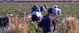 &Epsilon;&Phi;&Kappa;&Alpha;: &Alpha;&sigma;&phi;ά&lambda;&iota;&sigma;&eta; &pi;&omicron;&lambda;&iota;&tau;ώ&nu; &tau;&rho;ί&tau;&omega;&nu; &chi;&omega;&rho;ώ&nu;