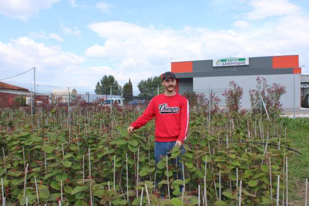 &Delta;&iota;&epsilon;&tau;ή &Phi;&upsilon;&tau;ά &Alpha;&kappa;&tau;&iota;&nu;&iota;&delta;&iota;ά&sigmaf; &mu;&epsilon; &pi;&iota;&sigma;&tau;&omicron;&pi;&omicron;ί&eta;&sigma;&eta; &Delta;&alpha;&nu;&iota;&eta;&lambda;ί&delta;&eta;&sigmaf;! (&Delta;&epsilon;&sigmaf; &tau;&omicron; &beta;ί&nu;&tau;&epsilon;&omicron;)