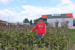 &Delta;&iota;&epsilon;&tau;ή &Phi;&upsilon;&tau;ά &Alpha;&kappa;&tau;&iota;&nu;&iota;&delta;&iota;ά&sigmaf; &mu;&epsilon; &pi;&iota;&sigma;&tau;&omicron;&pi;&omicron;ί&eta;&sigma;&eta; &Delta;&alpha;&nu;&iota;&eta;&lambda;ί&delta;&eta;&sigmaf;! (&Delta;&epsilon;&sigmaf; &tau;&omicron; &beta;ί&nu;&tau;&epsilon;&omicron;)