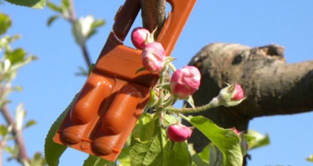 &Kappa;&omicron;&mu;&phi;&omicron;ύ&zeta;&iota;&omicron; : &Pi;&omicron;&iota;&epsilon;&sigmaf; &nu;έ&epsilon;&sigmaf; &kappa;&alpha;&lambda;&lambda;&iota;έ&rho;&gamma;&epsilon;&iota;&epsilon;&sigmaf; &epsilon;&iota;&sigma;έ&rho;&chi;&omicron;&nu;&tau;&alpha;&iota; &sigma;&tau;&omicron; &pi;&rho;ό&gamma;&rho;&alpha;&mu;&mu;&alpha;