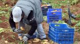&Eta;&mu;έ&rho;&alpha; &kappa;&alpha;&rho;&iota;έ&rho;&alpha;&sigmaf; &gamma;&iota;&alpha; &tau;&omicron;&upsilon;&sigmaf; &pi;&rho;ό&sigma;&phi;&upsilon;&gamma;&epsilon;&sigmaf; &kappa;&alpha;&iota; &mu;&epsilon;&tau;&alpha;&nu;ά&sigma;&tau;&epsilon;&sigmaf;