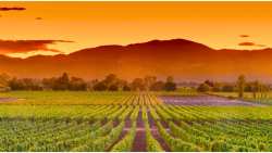 &Sigma;&upsilon;&gamma;&kappa;&omicron;&mu;&iota;&delta;ή 2025: &Mu;&iota;&alpha; &pi;&rho;ώ&tau;&eta; &mu;&alpha;&tau;&iota;ά &sigma;&tau;&iota;&sigmaf; &pi;&rho;&omicron;&omicron;&pi;&tau;&iota;&kappa;έ&sigmaf; &sigma;&upsilon;&gamma;&kappa;&omicron;&mu;&iota;&delta;ή&sigmaf; &sigma;&tau;&omicron; &nu;ό&tau;&iota;&omicron; &eta;&mu;&iota;&sigma;&phi;&alpha;ί&rho;&iota;&omicron;