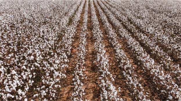 &Beta;&rho;&omicron;&chi;&omicron;&pi;&tau;ώ&sigma;&epsilon;&iota;&sigmaf;: &Sigma;&epsilon; &alpha;&pi;ό&gamma;&nu;&omega;&sigma;&eta; &omicron;&iota; &beta;&alpha;&mu;&beta;&alpha;&kappa;&omicron;&pi;&alpha;&rho;&alpha;&gamma;&omega;&gamma;&omicron;ί &sigma;&tau;&eta;&nu; &Kappa;&alpha;&rho;&delta;ί&tau;&sigma;&alpha; &zeta;&eta;&tau;&omicron;ύ&nu; &alpha;&lambda;&lambda;&alpha;&gamma;ή &tau;&omicron;&upsilon; &kappa;&alpha;&nu;&omicron;&nu;&iota;&sigma;&mu;&omicron;ύ &tau;&omicron;&upsilon; &Epsilon;&Lambda;&Gamma;&Alpha;