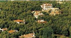 &Delta;ή&mu;&omicron;&sigmaf; &Beta;έ&rho;&omicron;&iota;&alpha;&sigmaf;: &Kappa;&alpha;&nu;&omicron;&nu;&iota;&sigma;&mu;ό&sigmaf; &Pi;&upsilon;&rho;&omicron;&pi;&rho;&omicron;&sigma;&tau;&alpha;&sigma;ί&alpha;&sigmaf; &Alpha;&kappa;&iota;&nu;ή&tau;&omega;&nu; &epsilon;&nu;&tau;ό&sigmaf; ή &pi;&lambda;&eta;&sigma;ί&omicron;&nu; &delta;&alpha;&sigma;&iota;&kappa;ώ&nu; &epsilon;&kappa;&tau;ά&sigma;&epsilon;&omega;&nu;