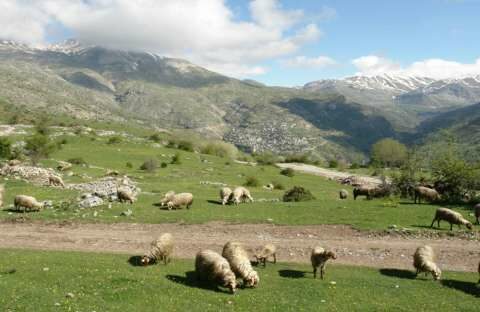 &Alpha;&rho;&alpha;&chi;&omega;&beta;ί&tau;&eta;&sigmaf; - &Tau;&epsilon;&lambda;&iota;&gamma;&iota;&omicron;&rho;ί&delta;&omicron;&upsilon;: &ldquo;&Eta; &epsilon;&pi;&iota;&chi;&epsilon;ί&rho;&eta;&sigma;&eta; &laquo;&Beta;&omicron;&sigma;&kappa;&omicron;&tau;ό&pi;&iota;&alpha; &tau;&eta;&sigmaf; &Nu;&Delta;&raquo; &delta;&epsilon;&nu; &kappa;&omicron;&upsilon;&kappa;&omicron;&upsilon;&lambda;ώ&nu;&epsilon;&tau;&alpha;&iota; &mu;&epsilon; &tau;&eta;&nu; &pi;&alpha;&rho;&alpha;&pi;&omicron;&mu;&pi;ή 7 &pi;&alpha;&rho;&alpha;&tau;&upsilon;&pi;&iota;ώ&nu; &sigma;&tau;&eta; &Delta;&iota;&kappa;&alpha;&iota;&omicron;&sigma;ύ&nu;&eta;&rdquo;