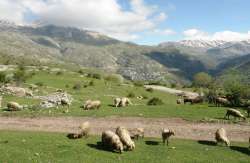 &Alpha;&rho;&alpha;&chi;&omega;&beta;ί&tau;&eta;&sigmaf; - &Tau;&epsilon;&lambda;&iota;&gamma;&iota;&omicron;&rho;ί&delta;&omicron;&upsilon;: &ldquo;&Eta; &epsilon;&pi;&iota;&chi;&epsilon;ί&rho;&eta;&sigma;&eta; &laquo;&Beta;&omicron;&sigma;&kappa;&omicron;&tau;ό&pi;&iota;&alpha; &tau;&eta;&sigmaf; &Nu;&Delta;&raquo; &delta;&epsilon;&nu; &kappa;&omicron;&upsilon;&kappa;&omicron;&upsilon;&lambda;ώ&nu;&epsilon;&tau;&alpha;&iota; &mu;&epsilon; &tau;&eta;&nu; &pi;&alpha;&rho;&alpha;&pi;&omicron;&mu;&pi;ή 7 &pi;&alpha;&rho;&alpha;&tau;&upsilon;&pi;&iota;ώ&nu; &sigma;&tau;&eta; &Delta;&iota;&kappa;&alpha;&iota;&omicron;&sigma;ύ&nu;&eta;&rdquo;