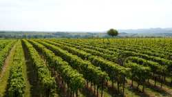 &laquo;&Alpha;&nu;&omicron;&iota;&chi;&tau;έ&sigmaf; &Pi;ό&rho;&tau;&epsilon;&sigmaf;&raquo; &sigma;&tau;&alpha; &omicron;&iota;&nu;&omicron;&pi;&omicron;&iota;&epsilon;ί&alpha; &tau;&eta;&sigmaf; &Epsilon;&lambda;&lambda;ά&delta;&alpha;&sigmaf; &Sigma;ά&beta;&beta;&alpha;&tau;&omicron; 18 &Mu;&alpha;ΐ&omicron;&upsilon; &kappa;&alpha;&iota; &Kappa;&upsilon;&rho;&iota;&alpha;&kappa;ή 19 &Mu;&alpha;ΐ&omicron;&upsilon; 2024