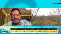 &Eta;&mu;&alpha;&theta;ί&alpha;: &Sigma;&tau;&omicron; &Beta;&iota;&epsilon;&tau;&nu;ά&mu; &gamma;&iota;&alpha; &epsilon;&rho;&gamma;&alpha;&tau;&iota;&kappa;ά &chi;έ&rho;&iota;&alpha;