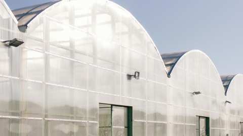 &Alpha;&nu;&epsilon;&mu;&omicron;&sigma;&tau;&rho;ό&beta;&iota;&lambda;&omicron;&sigmaf; &chi;&tau;ύ&pi;&eta;&sigma;&epsilon; &theta;&epsilon;&rho;&mu;&omicron;&kappa;ή&pi;&iota;&alpha; &sigma;&tau;&eta;&nu; &Iota;&epsilon;&rho;ά&pi;&epsilon;&tau;&rho;&alpha; &Lambda;&alpha;&sigma;&iota;&theta;ί&omicron;&upsilon;