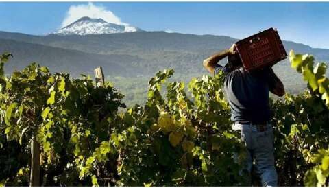 &Kappa;&alpha;&tau;' &epsilon;&xi;&alpha;ί&rho;&epsilon;&sigma;&eta; &chi;&omicron;&rho;ή&gamma;&eta;&sigma;&eta; &alpha;&delta;&epsilon;&iota;ώ&nu; &alpha;&pi;ό&sigma;&tau;&alpha;&xi;&eta;&sigmaf; &epsilon;&pi;&iota;&tau;&rho;&alpha;&pi;έ&zeta;&iota;&omega;&nu; &sigma;&tau;&alpha;&phi;&upsilon;&lambda;&iota;ώ&nu;- &Kappa;&omicron;&iota;&nu;ή &alpha;&pi;ό&phi;&alpha;&sigma;&eta; &Gamma;&epsilon;&omega;&rho;&gamma;&alpha;&nu;&tau;ά, &Beta;&epsilon;&sigma;&upsilon;&rho;ό&pi;&omicron;&upsilon;&lambda;&omicron;&upsilon;, &Pi;&iota;&tau;&sigma;&iota;&lambda;ή