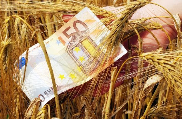 &Iota;&delta;&rho;ύ&epsilon;&tau;&alpha;&iota; &Tau;&alpha;&mu;&epsilon;ί&omicron; &Pi;&alpha;&rho;&omicron;&chi;ή&sigmaf; &mu;&iota;&kappa;&rho;&omicron;&pi;&iota;&sigma;&tau;ώ&sigma;&epsilon;&omega;&nu; &sigma;&tau;&omicron;&nu; &pi;&rho;&omega;&tau;&omicron;&gamma;&epsilon;&nu;ή &tau;&omicron;&mu;έ&alpha; &gamma;&iota;&alpha; &nu;&alpha; &epsilon;&nu;&iota;&sigma;&chi;&upsilon;&theta;&epsilon;ί &eta; &delta;&alpha;&nu;&epsilon;&iota;&omicron;&delta;ό&tau;&eta;&sigma;&eta; &epsilon;&pi;&epsilon;&nu;&delta;ύ&sigma;&epsilon;&omega;&nu;