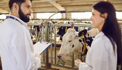 &Gamma;&epsilon;&nu;&epsilon;&tau;&iota;&kappa;ή &beta;&epsilon;&lambda;&tau;ί&omega;&sigma;&eta; - &Pi;&alpha;&rho;ά&tau;&alpha;&sigma;&eta; &kappa;&alpha;&iota; &alpha;ύ&xi;&eta;&sigma;&eta; &epsilon;&pi;&iota;&chi;&omicron;&rho;ή&gamma;&eta;&sigma;&eta;&sigmaf;