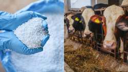 &Upsilon;&phi;&Alpha;&Alpha;&Tau; &Gamma;. &Sigma;&tau;ύ&lambda;&iota;&omicron;&sigmaf;: &laquo;&Eta; &Kappa;&upsilon;&beta;έ&rho;&nu;&eta;&sigma;&eta; &sigma;&tau;&eta;&rho;ί&zeta;&epsilon;&iota; &tau;&omicron;&nu; &Pi;&rho;&omega;&tau;&omicron;&gamma;&epsilon;&nu;ή - &Mu;&epsilon;&lambda;&epsilon;&tau;ά&tau;&alpha;&iota; &lambda;ύ&sigma;&eta; &gamma;&iota;&alpha; &tau;&eta;&nu; &sigma;&upsilon;&mu;&pi;&epsilon;&rho;ί&lambda;&eta;&psi;&eta; &kappa;&alpha;&iota; &tau;&omega;&nu; &nu;&epsilon;&omicron;&epsilon;&iota;&sigma;&epsilon;&rho;&chi;ό&mu;&epsilon;&nu;&omega;&nu; &kappa;&tau;&eta;&nu;&omicron;&tau;&rho;ό&phi;&omega;&nu;&raquo;