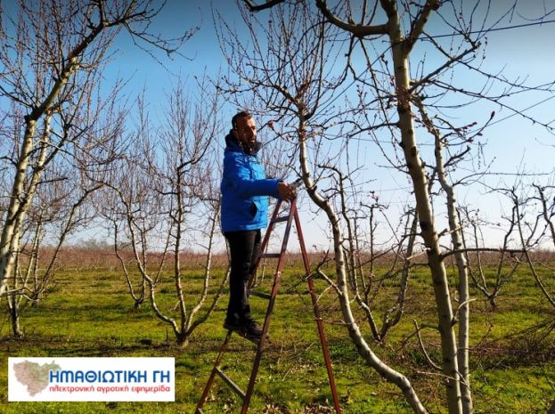 &Tau;&eta;&nu; &sigma;&tau;ή&rho;&iota;&xi;&eta; &tau;&omega;&nu; &kappa;&alpha;&tau;ά &kappa;ύ&rho;&iota;&omicron; &epsilon;&pi;ά&gamma;&gamma;&epsilon;&lambda;&mu;&alpha; &alpha;&gamma;&rho;&omicron;&tau;ώ&nu; &theta;έ&tau;&epsilon;&iota; &omega;&sigmaf; &pi;&rho;&omicron;&tau;&epsilon;&rho;&alpha;&iota;ό&tau;&eta;&tau;&alpha; &eta; &kappa;&upsilon;&beta;έ&rho;&nu;&eta;&sigma;&eta;, &sigma;ύ&mu;&phi;&omega;&nu;&alpha; &mu;&epsilon; &tau;&omicron;&nu; &Upsilon;&pi;&Alpha;&Alpha;&Tau;