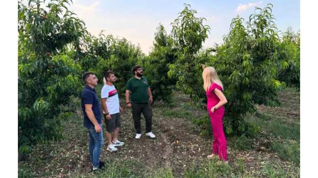 &Tau;&zeta;ά&kappa;&rho;&eta;: &Omicron; &Epsilon;&Lambda;&Gamma;&Alpha; &nu;&alpha; &pi;&rho;&omicron;&sigma;&lambda;ά&beta;&epsilon;&iota; &gamma;&epsilon;&omega;&pi;ό&nu;&omicron;&upsilon;&sigmaf;-&epsilon;&kappa;&tau;&iota;&mu;&eta;&tau;έ&sigmaf; &mu;&epsilon; fast track &delta;&iota;&alpha;&delta;&iota;&kappa;&alpha;&sigma;ί&alpha; &gamma;&iota;&alpha; &tau;&iota;&sigmaf; &alpha;&nu;ά&gamma;&kappa;&epsilon;&sigmaf; &tau;&omicron;&upsilon; &epsilon;&kappa;&tau;&iota;&mu;&eta;&tau;&iota;&kappa;&omicron;ύ έ&rho;&gamma;&omicron;&upsilon; &sigma;&tau;&eta;&nu; &Pi;έ&lambda;&lambda;&alpha;