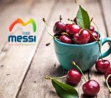 &Tau;&alpha; &kappa;&epsilon;&rho;ά&sigma;&iota;&alpha; &tau;&omicron;&upsilon; &Alpha;&Sigma; &Mu;έ&sigma;&eta;&sigmaf;, &phi;&tau;ά&nu;&omicron;&upsilon;&nu; &sigma;&tau;&omicron;&nu; &kappa;&alpha;&tau;&alpha;&nu;&alpha;&lambda;&omega;&tau;ή &phi;&rho;έ&sigma;&kappa;&alpha; &kappa;&alpha;&iota; &sigma;&epsilon; ά&rho;&iota;&sigma;&tau;&eta; &pi;&omicron;&iota;ό&tau;&eta;&tau;&alpha;, &delta;&iota;&alpha;&tau;&eta;&rho;ώ&nu;&tau;&alpha;&sigmaf; &tau;&omicron; &chi;&rho;ώ&mu;&alpha;, &tau;&eta; &gamma;&epsilon;ύ&sigma;&eta; &kappa;&alpha;&iota; &tau;&omicron; ά&rho;&omega;&mu;ά &tau;&omicron;&upsilon;&sigmaf;