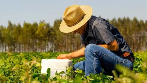 &Gamma;&iota;&alpha; 12.619 &nu;έ&omicron;&upsilon;&sigmaf; &alpha;&gamma;&rho;ό&tau;&epsilon;&sigmaf;: &Epsilon;&pi;&alpha;&gamma;&gamma;&epsilon;&lambda;&mu;&alpha;&tau;&iota;&kappa;ή &kappa;&alpha;&tau;ά&rho;&tau;&iota;&sigma;&eta; &kappa;&alpha;&iota; &alpha;&nu;ά&pi;&tau;&upsilon;&xi;&eta; &delta;&epsilon;&xi;&iota;&omicron;&tau;ή&tau;&omega;&nu; &mu;έ&sigma;&omega; &tau;&omicron;&upsilon; &nu;έ&omicron;&upsilon; &pi;&rho;&omicron;&gamma;&rho;ά&mu;&mu;&alpha;&tau;&omicron;&sigmaf;
