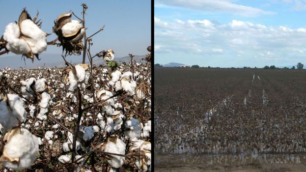 &Upsilon;&pi;&omicron;&beta;&omicron;&lambda;ή &delta;&eta;&lambda;ώ&sigma;&epsilon;&omega;&nu; &zeta;&eta;&mu;ί&alpha;&sigmaf; &alpha;&pi;ό &tau;&eta;&nu; &beta;&rho;&omicron;&chi;ό&pi;&tau;&omega;&sigma;&eta; &sigma;&tau;&eta;&nu; &Delta;&Epsilon; &Alpha;&pi;. &Pi;&alpha;ύ&lambda;&omicron;&upsilon; &Eta;&mu;&alpha;&theta;ί&alpha;&sigmaf;