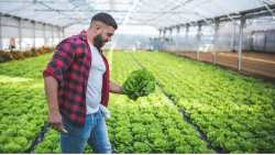 &Nu;έ&alpha; &Gamma;&epsilon;&omega;&rho;&gamma;ί&alpha; &Nu;έ&alpha; &Gamma;&epsilon;&nu;&iota;ά - &Sigma;&upsilon;&nu;&epsilon;&chi;ί&zeta;&omicron;&nu;&tau;&alpha;&iota; &omicron;&iota; &delta;&rho;ά&sigma;&epsilon;&iota;&sigmaf; &epsilon;&kappa;&pi;&alpha;ί&delta;&epsilon;&upsilon;&sigma;&eta;&sigmaf; &kappa;&alpha;&iota; &sigma;&upsilon;&mu;&beta;&omicron;&upsilon;&lambda;&epsilon;&upsilon;&tau;&iota;&kappa;ή&sigmaf; &gamma;&iota;&alpha; &tau;&eta;&nu; &epsilon;&nu;ί&sigma;&chi;&upsilon;&sigma;&eta; &tau;&eta;&sigmaf; &laquo;&alpha;&gamma;&rho;&omicron;&delta;&iota;&alpha;&tau;&rho;&omicron;&phi;&iota;&kappa;ή&sigmaf; &epsilon;&pi;&iota;&chi;&epsilon;&iota;&rho;&eta;&mu;&alpha;&tau;&iota;&kappa;ό&tau;&eta;&tau;&alpha;&sigmaf;&raquo; &sigma;&tau;&eta; &Beta;ό&rho;&epsilon;&iota;&alpha; &Epsilon;ύ&beta;&omicron;&iota;&alpha;