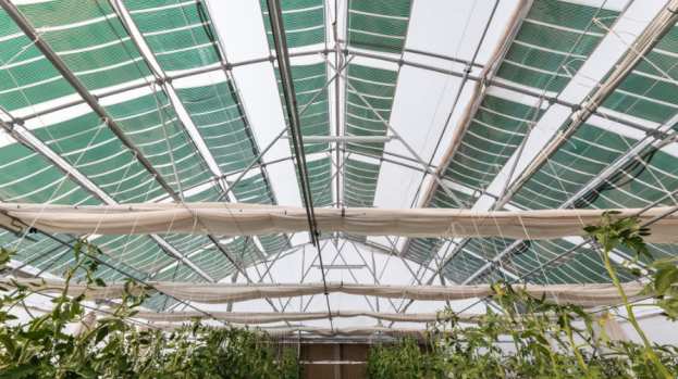 T&alpha; &omicron;&rho;&gamma;&alpha;&nu;&iota;&kappa;ά &phi;&omega;&tau;&omicron;&beta;&omicron;&lambda;&tau;&alpha;ϊ&kappa;ά &tau;&eta;&sigmaf; &epsilon;&lambda;&lambda;&eta;&nu;&iota;&kappa;ή&sigmaf; &epsilon;&tau;&alpha;&iota;&rho;&epsilon;ί&alpha;&sigmaf; OET Energy Technologies