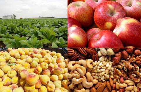 &Tau;&zeta;ά&kappa;&rho;&eta;: &Kappa;&alpha;&tau;&alpha;&rho;&gamma;&omicron;ύ&nu;&tau;&alpha;&iota; &mu;&epsilon; &pi;&rho;ό&tau;&alpha;&sigma;&eta; &tau;&eta;&sigmaf; &kappa;&upsilon;&beta;έ&rho;&nu;&eta;&sigma;&eta;&sigmaf; &omicron;&iota; &sigma;&upsilon;&nu;&delta;&epsilon;&delta;&epsilon;&mu;έ&nu;&epsilon;&sigmaf; &epsilon;&nu;&iota;&sigma;&chi;ύ&sigma;&epsilon;&iota;&sigmaf; &sigma;&epsilon; &rho;&omicron;&delta;ά&kappa;&iota;&nu;&alpha;, &mu;ή&lambda;&alpha;, &kappa;&alpha;&rho;&pi;&omicron;ύ&sigmaf; &mu;&epsilon; &kappa;έ&lambda;&upsilon;&phi;&omicron;&sigmaf;, &sigma;&pi;&alpha;&rho;ά&gamma;&gamma;&iota;&alpha; &kappa;&alpha;&iota; &zeta;&alpha;&chi;&alpha;&rho;ό&tau;&epsilon;&upsilon;&tau;&lambda;&alpha;&raquo;