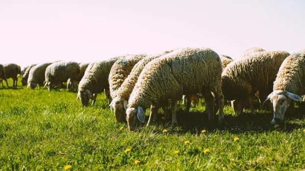 &Upsilon;&Pi;&Alpha;&Alpha;&Tau;: &Sigma;&tau;&alpha; 17 &tau;&alpha; &epsilon;&pi;&iota;&beta;&epsilon;&beta;&alpha;&iota;&omega;&mu;έ&nu;&alpha; &kappa;&rho;&omicron;ύ&sigma;&mu;&alpha;&tau;&alpha; &alpha;&phi;&theta;ώ&delta;&omicron;&upsilon;&sigmaf; &pi;&upsilon;&rho;&epsilon;&tau;&omicron;ύ &sigma;&tau;&eta; &Lambda;έ&sigma;&beta;&omicron; &ndash; &Epsilon;&pi;&iota;&beta;&epsilon;&beta;&alpha;&iota;ώ&theta;&eta;&kappa;&alpha;&nu; 4 &nu;έ&alpha; &kappa;&rho;&omicron;ύ&sigma;&mu;&alpha;&tau;&alpha;