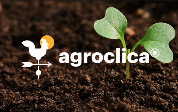 &Alpha;&nu;&tau;&alpha;&lambda;&lambda;ά&xi;&tau;&epsilon; &kappa;&alpha;&lambda;&lambda;&iota;&epsilon;&rho;&gamma;&eta;&tau;&iota;&kappa;έ&sigmaf; &pi;&lambda;&eta;&rho;&omicron;&phi;&omicron;&rho;ί&epsilon;&sigmaf; &mu;έ&sigma;&alpha; &alpha;&pi;ό &tau;&eta; &mu;&omicron;&nu;&alpha;&delta;&iota;&kappa;ή &psi;&eta;&phi;&iota;&alpha;&kappa;ή &pi;&lambda;&alpha;&tau;&phi;ό&rho;&mu;&alpha; agroclica