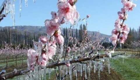 &Pi;&alpha;&gamma;&epsilon;&tau;ό&sigmaf;-&Eta;&mu;&alpha;&theta;ί&alpha;: &Kappa;&omicron;&iota;&nu;&omicron;&pi;&omicron;ί&eta;&sigma;&eta; &Pi;&omicron;&rho;&iota;&sigma;&mu;ά&tau;&omega;&nu; &Epsilon;&Lambda;.&Gamma;.&Alpha;. &tau;&eta;&sigmaf; &Kappa;&omicron;&iota;&nu;ό&tau;&eta;&tau;&alpha;&sigmaf; &Delta;&iota;&alpha;&beta;&alpha;&tau;&omicron;ύ