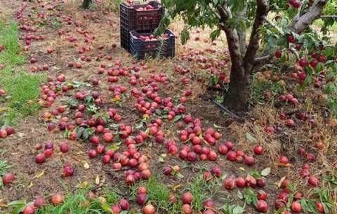 &Pi;&omicron;&rho;ί&sigma;&mu;&alpha;&tau;&alpha; &zeta;&eta;&mu;&iota;ώ&nu; &sigma;&epsilon; &kappa;&alpha;&lambda;&lambda;&iota;έ&rho;&gamma;&epsilon;&iota;&epsilon;&sigmaf; &alpha;&pi;ό &beta;&rho;&omicron;&chi;ό&pi;&tau;&omega;&sigma;&eta; 10/05/2023  &kappa;&alpha;&iota; 22/05/2023 &sigma;&tau;&eta;&nu; &Delta;/&Tau;.&Kappa;. &Beta;έ&rho;&omicron;&iota;&alpha;&sigmaf;