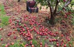 &Pi;&omicron;&rho;ί&sigma;&mu;&alpha;&tau;&alpha; &zeta;&eta;&mu;&iota;ώ&nu; &sigma;&epsilon; &kappa;&alpha;&lambda;&lambda;&iota;έ&rho;&gamma;&epsilon;&iota;&epsilon;&sigmaf; &alpha;&pi;ό &beta;&rho;&omicron;&chi;ό&pi;&tau;&omega;&sigma;&eta; 10/05/2023  &kappa;&alpha;&iota; 22/05/2023 &sigma;&tau;&eta;&nu; &Delta;/&Tau;.&Kappa;. &Beta;έ&rho;&omicron;&iota;&alpha;&sigmaf;