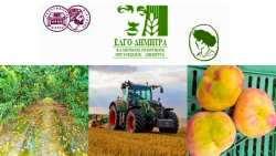 &Epsilon;&nu;&eta;&mu;&epsilon;&rho;&omega;&tau;&iota;&kappa;ή &epsilon;&kappa;&delta;ή&lambda;&omega;&sigma;&eta; &sigma;&tau;&omicron; &Mu;&alpha;&kappa;&rho;&omicron;&chi;ώ&rho;&iota;: &Omicron;&pi;&omega;&rho;&omicron;&phi;ό&rho;&alpha; &delta;έ&nu;&tau;&rho;&alpha; - &Epsilon;&upsilon;&kappa;&alpha;&iota;&rho;ί&epsilon;&sigmaf; &kappa;&alpha;&iota; &pi;&rho;&omicron;&kappa;&lambda;ή&sigma;&epsilon;&iota;&sigmaf; &sigma;&tau;&eta; &sigma;ύ&gamma;&chi;&rho;&omicron;&nu;&eta; &epsilon;&pi;&omicron;&chi;ή