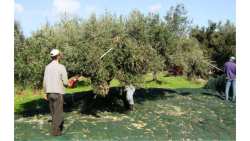 &Mu;ά&zeta;&epsilon;&mu;&alpha; &epsilon;&lambda;&iota;ά&sigmaf; STOP - &Tau;&iota; &sigma;&upsilon;&mu;&beta;&alpha;ί&nu;&epsilon;&iota; &kappa;&alpha;&iota; &gamma;&iota;&alpha;&tau;ί &theta;&epsilon;&omega;&rho;&epsilon;ί&tau;&alpha;&iota; &kappa;&alpha;&tau;&alpha;&sigma;&tau;&rho;&omicron;&phi;&iota;&kappa;ή &eta; &chi;&rho;&omicron;&nu;&iota;ά &gamma;&iota;&alpha; &tau;&omicron;&upsilon;&sigmaf; &epsilon;&lambda;&alpha;&iota;&omicron;&pi;&alpha;&rho;&alpha;&gamma;&omega;&gamma;&omicron;ύ&sigmaf;; | &Alpha;&gamma;&rho;&omicron;&tau;&iota;&kappa;ά &nu;έ&alpha; &kappa;&alpha;&iota; &epsilon;&iota;&delta;ή&sigma;&epsilon;&iota;&sigmaf; imathiotikigi.gr
