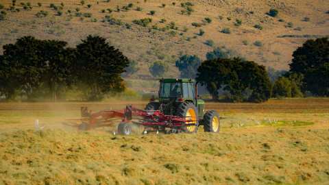 &Omicron;&iota; &upsilon;&pi;&eta;&rho;&epsilon;&sigma;ί&epsilon;&sigmaf; &sigma;&tau;&epsilon;&nu;ά&zeta;&omicron;&upsilon;&nu;, &tau;&alpha; &ldquo;&mu;&alpha;&xi;&iota;&lambda;ά&rho;&iota;&alpha;&rdquo; &phi;&omicron;&upsilon;&sigma;&kappa;ώ&nu;&omicron;&upsilon;&nu;. &Eta; &Pi;&Omicron;&Gamma;&Epsilon;&Delta;&Upsilon; &zeta;&eta;&tau;ά &alpha;&pi;&alpha;&nu;&tau;ή&sigma;&epsilon;&iota;&sigmaf;