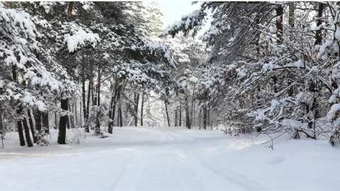 &Mu;&epsilon;&rho;&omicron;&mu;ή&nu;&iota;&alpha;-&Kappa;&alpha;&iota;&rho;ό&sigmaf;: &Tau;&iota; &theta;&alpha; &alpha;&lambda;&lambda;ά&xi;&epsilon;&iota; &alpha;&pi;ό &tau;&eta;&nu; &alpha;&rho;&chi;ή &tau;&omicron;&upsilon; 2023 &kappa;&alpha;&iota; &mu;&epsilon;&tau;ά