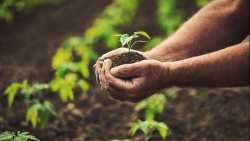 &Tau;&omicron; &epsilon;&lambda;&lambda;&eta;&nu;&iota;&kappa;ό &pi;&rho;ό&gamma;&rho;&alpha;&mu;&mu;&alpha; 31 &epsilon;&kappa;&alpha;&tau;. &epsilon;&upsilon;&rho;ώ &gamma;&iota;&alpha; &tau;&eta; &sigma;&tau;ή&rho;&iota;&xi;&eta; &tau;&omega;&nu; &alpha;&gamma;&rho;&omicron;&tau;&iota;&kappa;ώ&nu; &pi;&alpha;&rho;&alpha;&gamma;&omega;&gamma;ώ&nu;, &epsilon;&nu;έ&kappa;&rho;&iota;&nu;&epsilon; &eta; &Kappa;&omicron;&mu;&iota;&sigma;&iota;ό&nu;