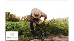 &Pi;&iota;&sigma;&tau;&omicron;&pi;&omicron;&iota;&eta;&tau;&iota;&kappa;ό &omicron;&rho;&theta;&omicron;&lambda;&omicron;&gamma;&iota;&kappa;ή&sigmaf; &chi;&rho;ή&sigma;&eta;&sigmaf; &gamma;&epsilon;&omega;&rho;&gamma;&iota;&kappa;ώ&nu; &phi;&alpha;&rho;&mu;ά&kappa;&omega;&nu; &mu;&epsilon; &mu;ό&lambda;&iota;&sigmaf; 40&euro;