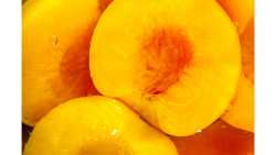 &Sigma;&upsilon;&mu;&pi;ύ&rho;&eta;&nu;&omicron; &Rho;&omicron;&delta;ά&kappa;&iota;&nu;&omicron;: &Pi;&rho;&alpha;&gamma;&mu;&alpha;&tau;&omicron;&pi;&omicron;&iota;ή&theta;&eta;&kappa;&epsilon; &sigma;&tau;&eta; &Beta;&rho;&alpha;&zeta;&iota;&lambda;ί&alpha; &tau;&omicron; 15&omicron; &Pi;&alpha;&gamma;&kappa;ό&sigma;&mu;&iota;&omicron; &Sigma;&upsilon;&nu;έ&delta;&rho;&iota;&omicron; - &Pi;&rho;ώ&tau;&omicron;&sigmaf; &epsilon;&xi;&alpha;&gamma;&omega;&gamma;έ&alpha;&sigmaf; &pi;&alpha;&gamma;&kappa;&omicron;&sigma;&mu;ί&omega;&sigmaf; &eta; &Epsilon;&lambda;&lambda;ά&delta;&alpha;