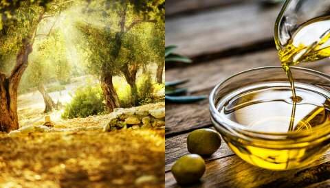 &Pi;&omicron;&iota;&alpha; &pi;&rho;&omicron;&gamma;&rho;ά&mu;&mu;&alpha;&tau;&alpha; &theta;&alpha; "&tau;&rho;έ&xi;&omicron;&upsilon;&nu;" &kappa;&alpha;&iota; &pi;&omicron;&iota;&omicron; &tau;&omicron; ύ&psi;&omicron;&sigmaf; &tau;&eta;&sigmaf; &epsilon;&nu;ί&sigma;&chi;&upsilon;&sigma;&eta;&sigmaf; &gamma;&iota;&alpha; &epsilon;&lambda;&alpha;&iota;ό&lambda;&alpha;&delta;&omicron; &kappa;&alpha;&iota; &epsilon;&pi;&iota;&tau;&rho;&alpha;&pi;έ&zeta;&iota;&alpha; &epsilon;&lambda;&iota;ά