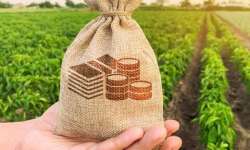 &Tau;&alpha;&mu;&epsilon;ί&omicron; &Mu;&iota;&kappa;&rho;ώ&nu; &Delta;&alpha;&nu;&epsilon;ί&omega;&nu; &Alpha;&gamma;&rho;&omicron;&tau;&iota;&kappa;ή&sigmaf; &Epsilon;&pi;&iota;&chi;&epsilon;&iota;&rho;&eta;&mu;&alpha;&tau;&iota;&kappa;ό&tau;&eta;&tau;&alpha;&sigmaf; : Ά&lambda;&lambda;&eta; &mu;&iota;&alpha; &epsilon;&pi;&iota;&kappa;&omicron;&iota;&nu;&omega;&nu;&iota;&alpha;&kappa;ή &sigma;&alpha;&pi;&omicron;&upsilon;&nu;ό&phi;&omicron;&upsilon;&sigma;&kappa;&alpha;