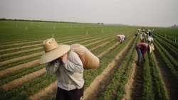 &Tau;&iota;&sigmaf; &sigma;&eta;&mu;&alpha;&nu;&tau;&iota;&kappa;έ&sigmaf; &rho;&upsilon;&theta;&mu;ί&sigma;&epsilon;&iota;&sigmaf; &gamma;&iota;&alpha; &tau;&iota;&sigmaf; &mu;&epsilon;&tau;&alpha;&kappa;&lambda;ή&sigma;&epsilon;&iota;&sigmaf; &epsilon;&rho;&gamma;&alpha;&tau;ώ&nu; &gamma;&eta;&sigmaf; &alpha;&pi;ό &tau;&rho;ί&tau;&epsilon;&sigmaf; &chi;ώ&rho;&epsilon;&sigmaf; &alpha;&nu;έ&lambda;&upsilon;&sigma;&epsilon; &omicron; &Lambda;ά&zeta;&alpha;&rho;&omicron;&sigmaf; &Tau;&sigma;&alpha;&beta;&delta;&alpha;&rho;ί&delta;&eta;&sigmaf; &omega;&sigmaf; &Epsilon;&iota;&sigma;&eta;&gamma;&eta;&tau;ή&sigmaf; &tau;&eta;&sigmaf; &Nu;&Delta; &sigma;&tau;&eta; &Beta;&omicron;&upsilon;&lambda;ή