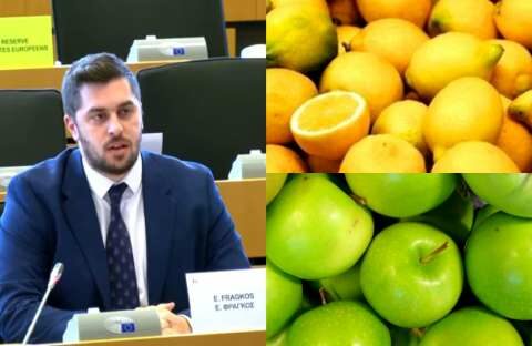 &Phi;&rho;ά&gamma;&kappa;&omicron;&sigmaf;: &Omicron; &Epsilon;&upsilon;&rho;&omega;&pi;&alpha;ϊ&kappa;ό&sigmaf; &Omicron;&rho;&gamma;&alpha;&nu;&iota;&sigma;&mu;ό&sigmaf; &Alpha;&sigma;&phi;ά&lambda;&epsilon;&iota;&alpha;&sigmaf; &Tau;&rho;&omicron;&phi;ί&mu;&omega;&nu; &delta;&iota;&alpha;&beta;&epsilon;&beta;&alpha;&iota;ώ&nu;&epsilon;&iota; &laquo;&eta; &Epsilon;&lambda;&lambda;ά&delta;&alpha; έ&chi;&epsilon;&iota; &tau;&omicron; &delta;&iota;&kappa;&alpha;ί&omega;&mu;&alpha; &nu;&alpha; &mu;&pi;&lambda;&omicron;&kappa;ά&rho;&epsilon;&iota; &tau;&iota;&sigmaf; &epsilon;&iota;&sigma;&alpha;&gamma;&omega;&gamma;έ&sigmaf; &tau;&omicron;&upsilon;&rho;&kappa;&iota;&kappa;ώ&nu; &alpha;&gamma;&rho;&omicron;&tau;&iota;&kappa;ώ&nu; &pi;&rho;&omicron;ϊό&nu;&tau;&omega;&nu;&raquo;