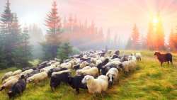 &Tau;&iota; &epsilon;&xi;&epsilon;&tau;ά&zeta;&epsilon;&iota; &tau;&omicron; &Upsilon;&Pi;&Alpha;&Alpha;&Tau; &gamma;&iota;&alpha; &tau;&iota;&sigmaf; &alpha;&pi;&omicron;&zeta;&eta;&mu;&iota;ώ&sigma;&epsilon;&iota;&sigmaf; &tau;&omega;&nu; &kappa;&tau;&eta;&nu;&omicron;&tau;&rho;ό&phi;&omega;&nu;