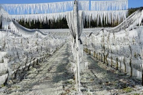 &Alpha;&nu;&tau;&iota;&pi;&alpha;&gamma;&epsilon;&tau;&iota;&kappa;ά &sigma;&upsilon;&sigma;&tau;ή&mu;&alpha;&tau;&alpha; &sigma;&tau;&eta;&nu; &Alpha;&upsilon;&sigma;&tau;&rho;ί&alpha;