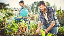 &Alpha;&upsilon;&xi;ά&nu;&epsilon;&tau;&alpha;&iota; &eta; &beta;&iota;&omicron;&lambda;&omicron;&gamma;&iota;&kappa;ή &kappa;&alpha;&lambda;&lambda;&iota;έ&rho;&gamma;&epsilon;&iota;&alpha; &sigma;&tau;&eta;&nu; &Epsilon;&lambda;&lambda;ά&delta;&alpha;